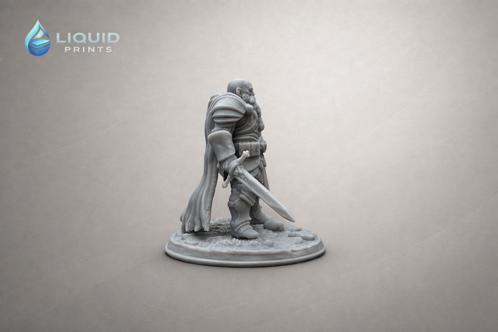 Thorin Ironguard – Warrior