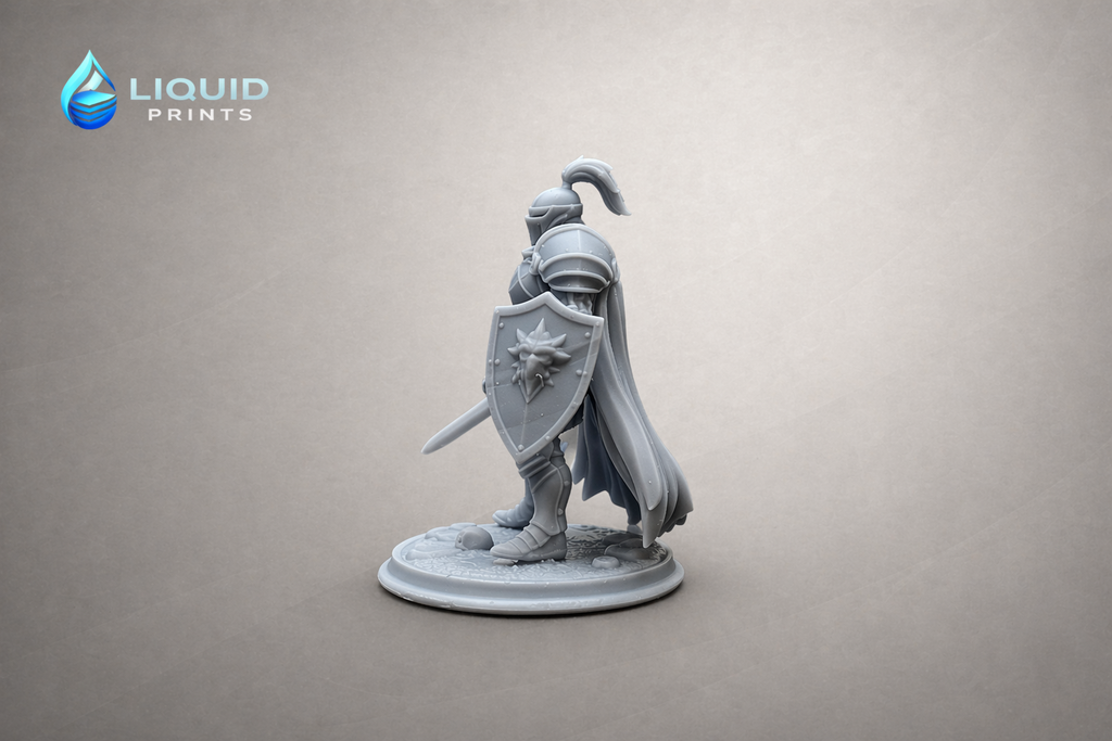 Ser Kael Brightshield – Warrior