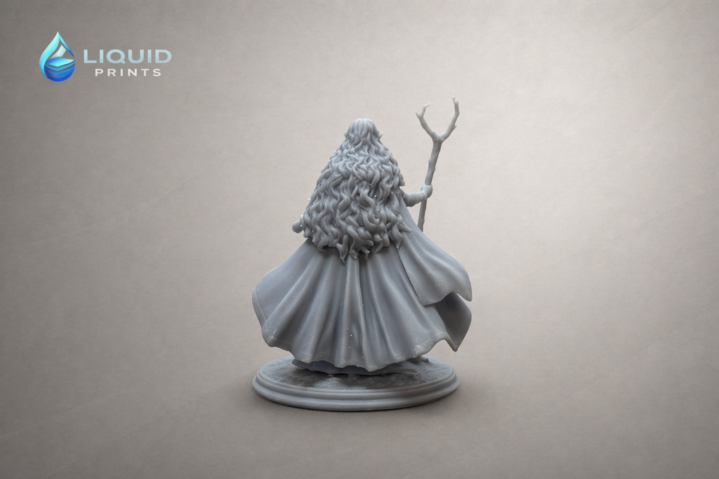 Elaria Thornveil – Druid