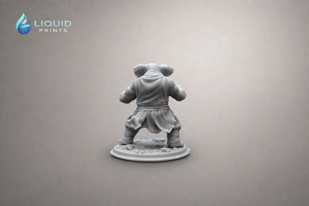 Zenker Stonehide – Loxodon Monk