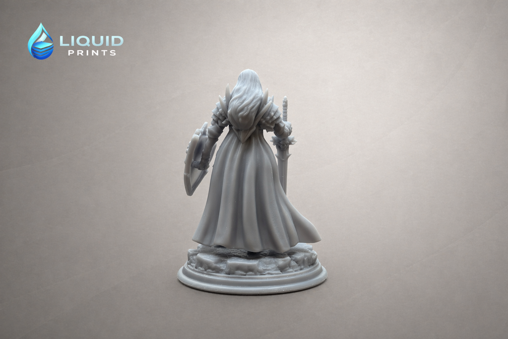 Valeria Grimward – Dark Paladin