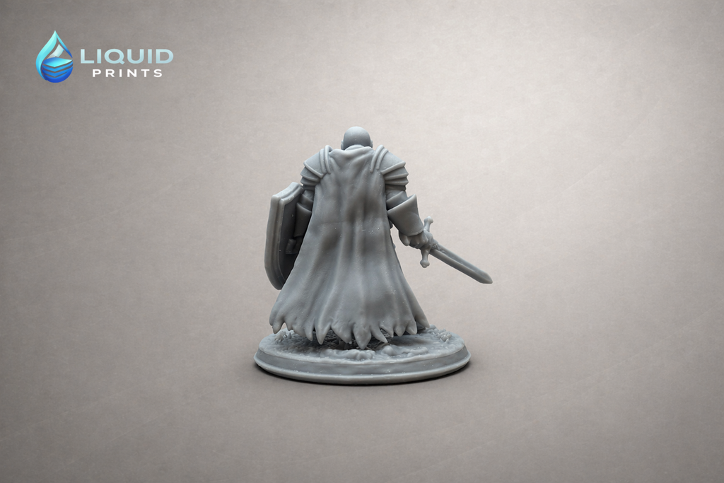 Thorin Ironguard – Warrior